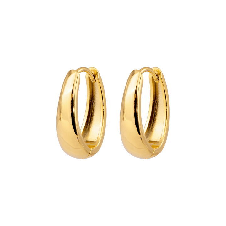 Roxy Hoops Goud