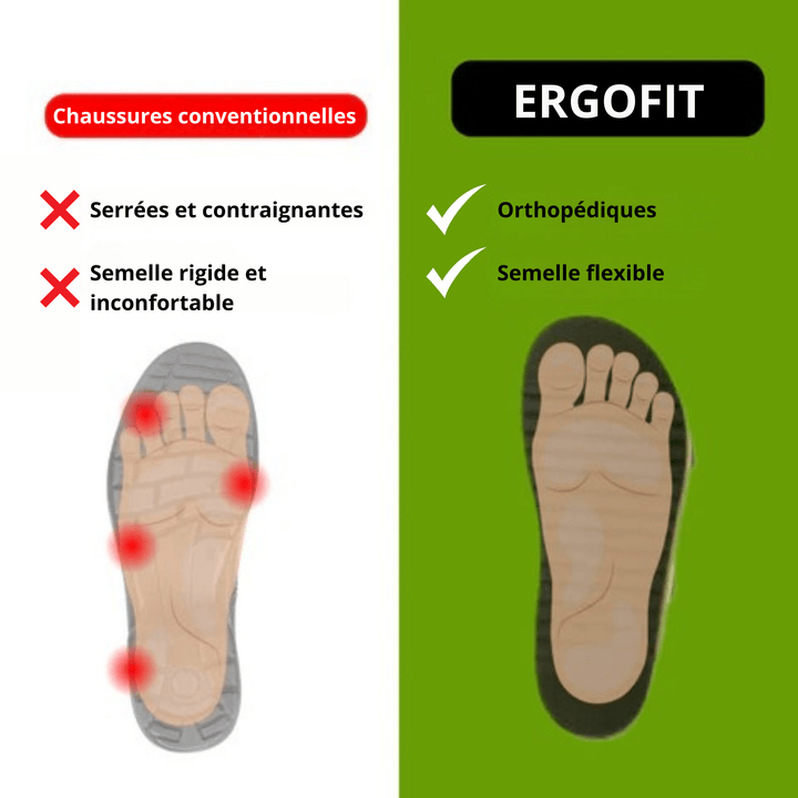 ErgoFit Basket - Ultieme Ondersteuning en Comfort